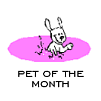 pet of the month